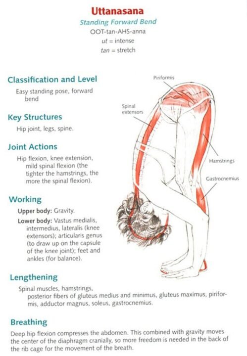 forward fold: A Comprehensive Guide to Mastering this Essential Yoga Pose