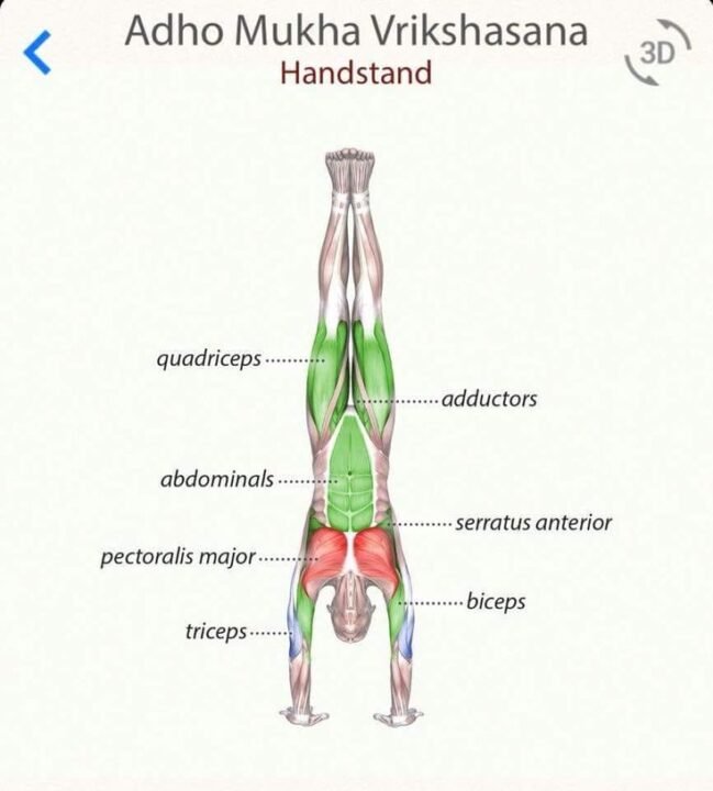 Handstand