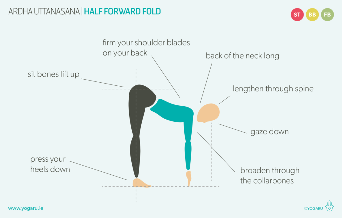 forward fold: A Comprehensive Guide to Mastering this Essential Yoga Pose