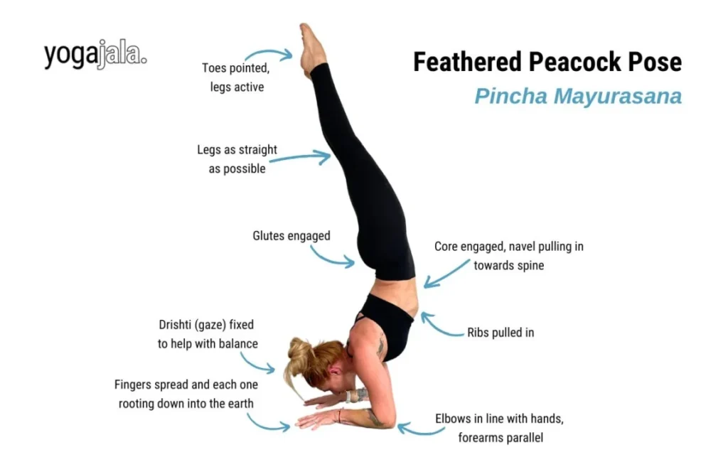 Peacock Pose