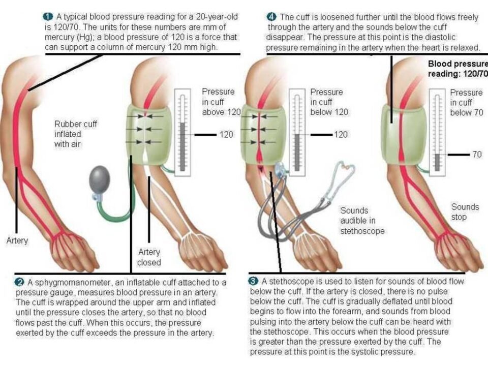 how to control high blood pressure in summer: latest research by the doctor's complete solution book