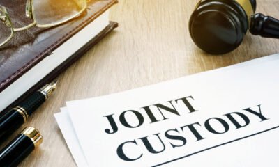 what is joint custody: Latest