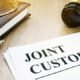 what is joint custody: Latest