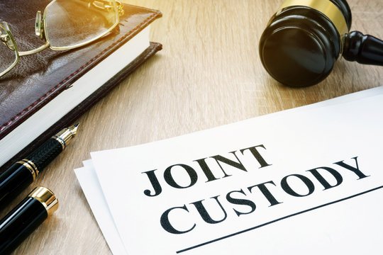 what is joint custody: Latest