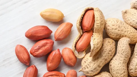 70 Reasons to eat Peanuts: In Winter Diet 