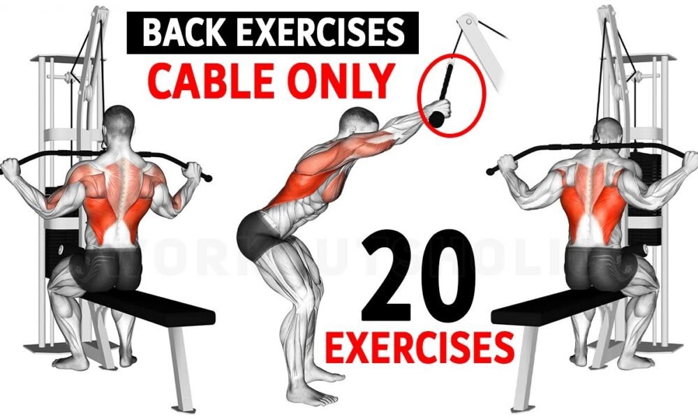 Cable Back Exercises: Age and Season Wise