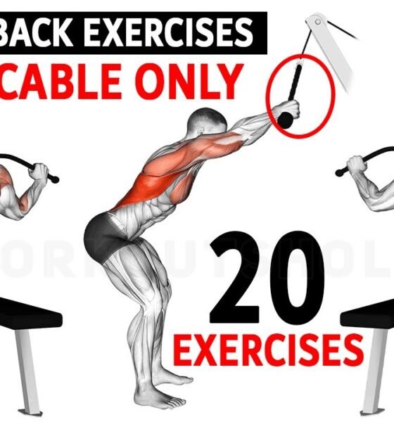 Cable Back Exercises: Age and Season Wise