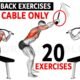 Cable Back Exercises: Age and Season Wise